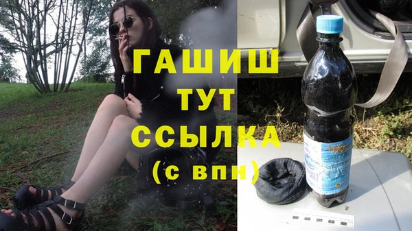 прущие грибы Няндома