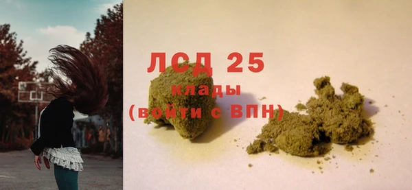 прущие грибы Няндома