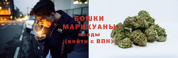 прущие грибы Няндома