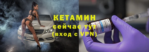 прущие грибы Няндома