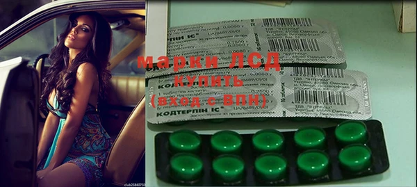 прущие грибы Няндома
