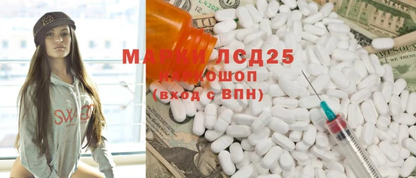 прущие грибы Няндома